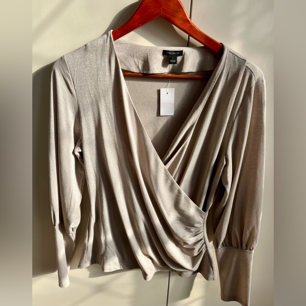 Ann Taylor top, shiny thread, long sleeve, Size S